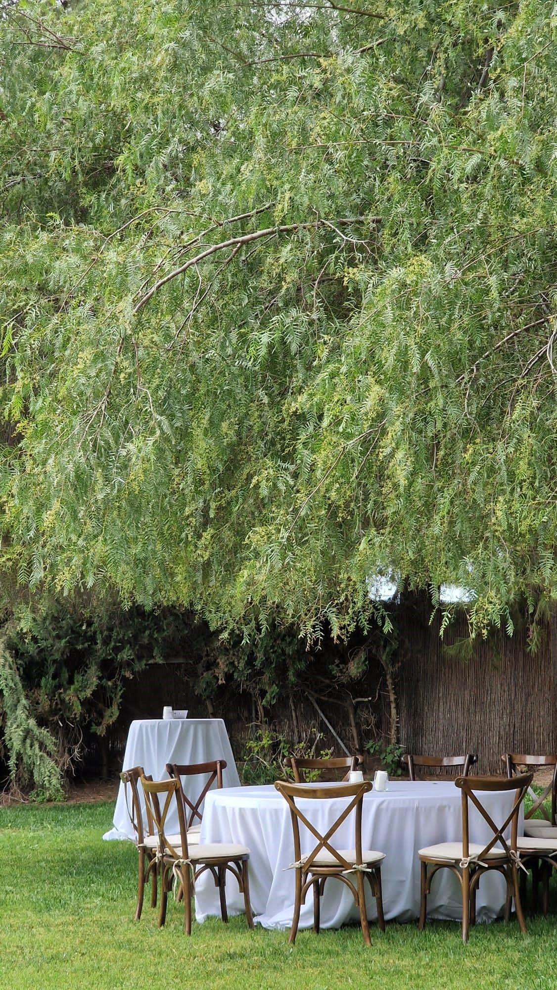 Bodas al aire libre